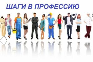 В Устьянском районе дан старт проекту по организации профессиональных проб
