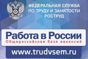 Работодателям Поморья необходимо вносить сведения о работе организации через личный кабинет на портале «Работа в России»