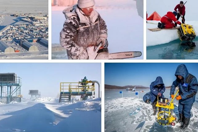 Предприниматели Поморья подают заявки на поддержку реализуемых ими инвестиционных проектов в Арктике