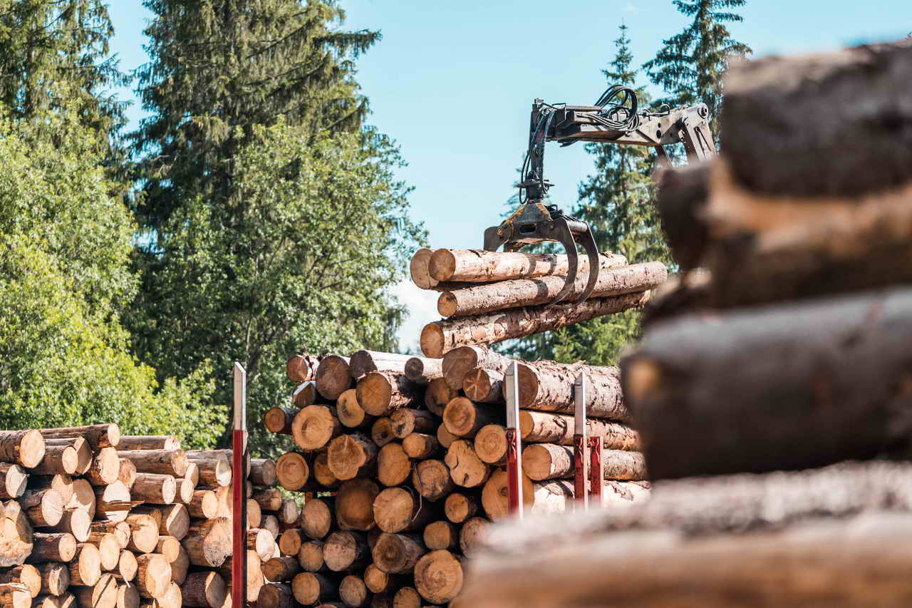 Предприятия и учебные заведения Поморья подключились к проекту по формированию кадрового резерва для лесной отрасли