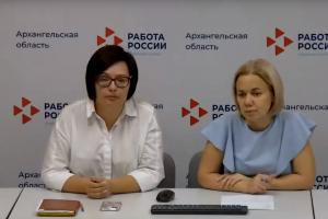 Трансляция ВКС: отчетность работодателей в рамках Постановления Правительства РФ № 409