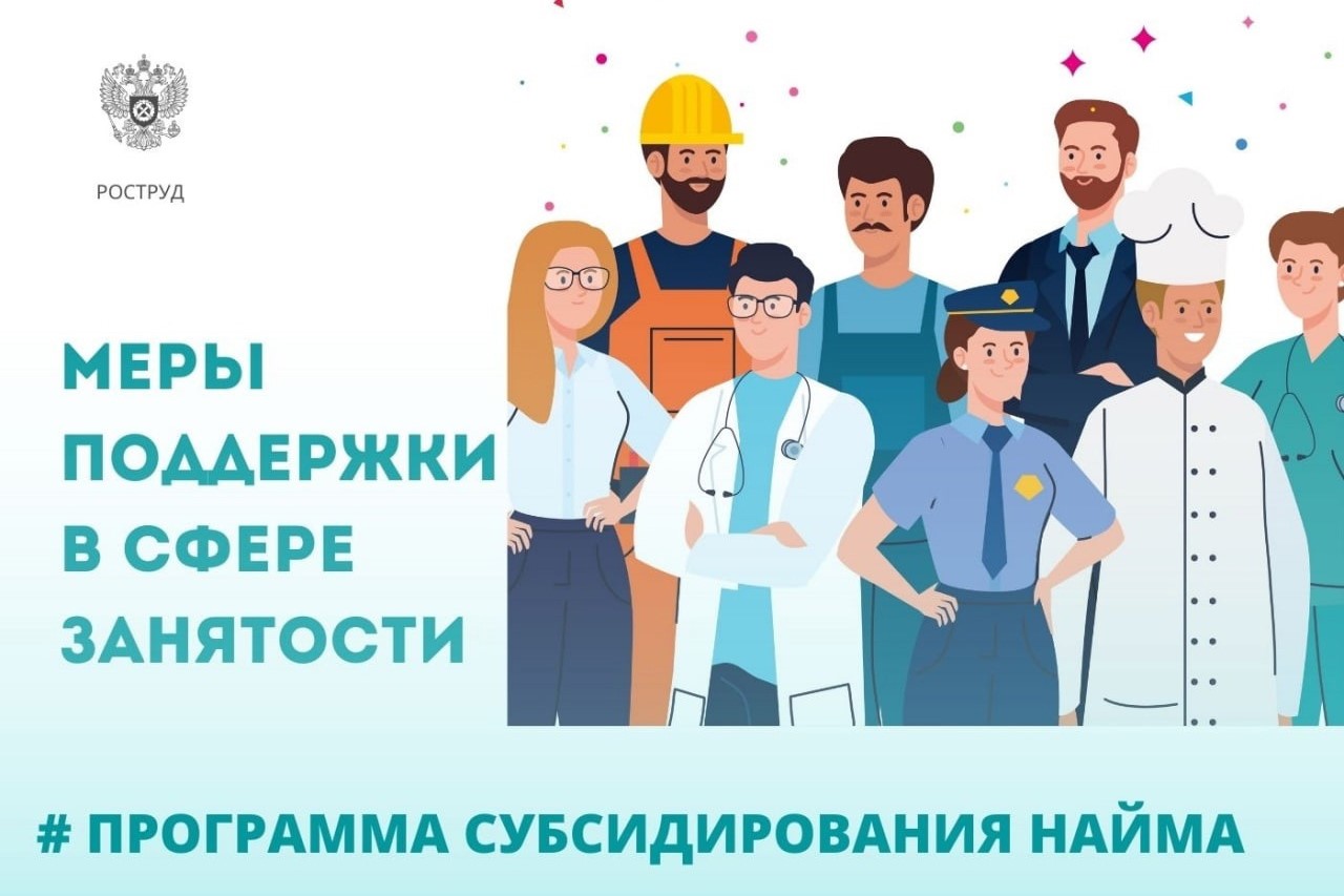 Правительство РФ реализует различные меры поддержки в сфере занятости