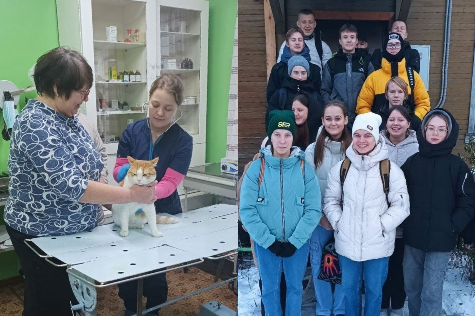 Десятиклассники Мезенской средней школы «примерили» профессию ветеринарного врача